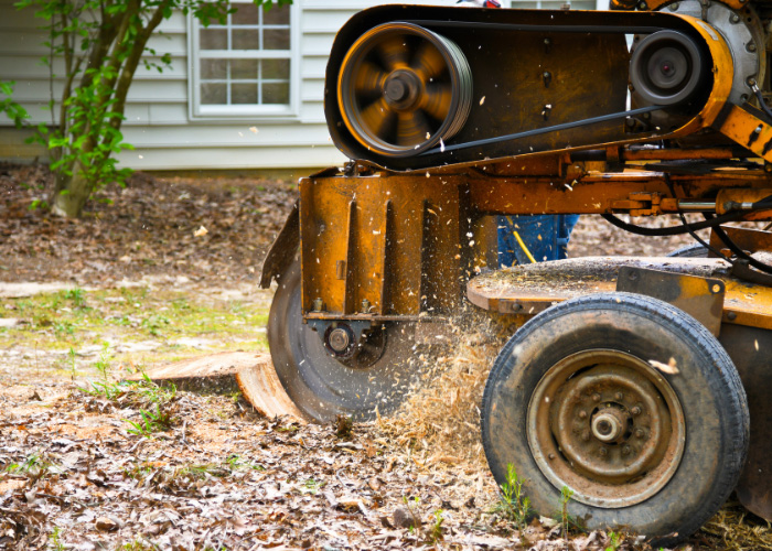 Tree stump grinding in Indianapolis, IN