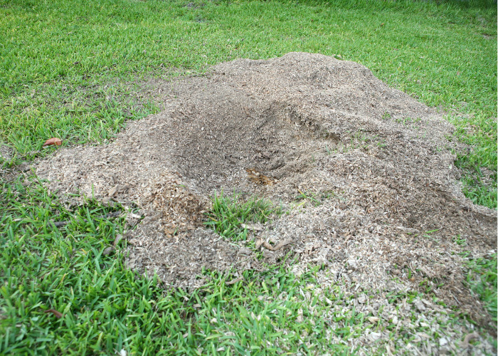 Professional stump grinding in Indianapolis, IN